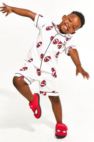 Spiderman Sleep Set