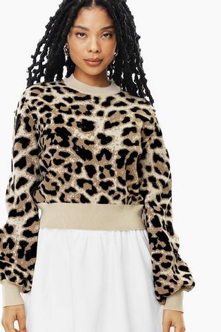 Leopard Print Crew Neck Knit