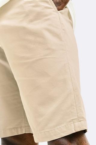 Chino Shorts