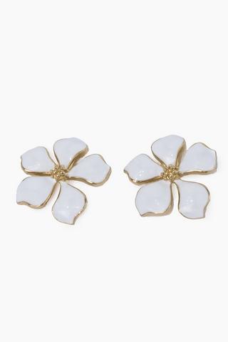 Stud Earrings