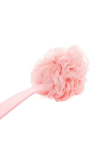 Loofah