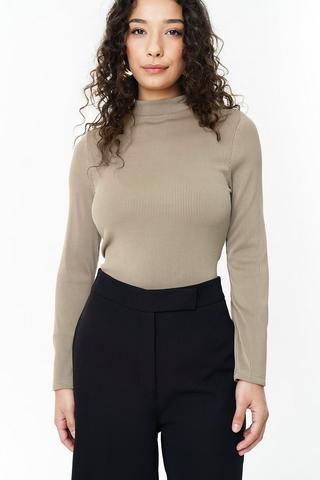 Fitted Turtle Neck Top