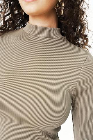 Fitted Turtle Neck Top