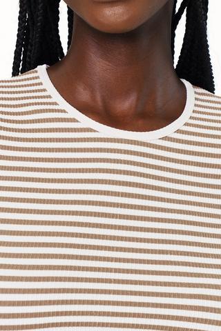 Seamless Stripe Fitted Top