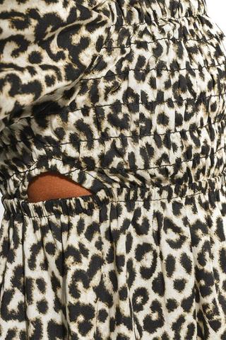 Leopard Print Fit And Flare Dress