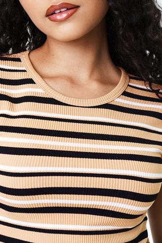 Seamless Stripe Fitted Top