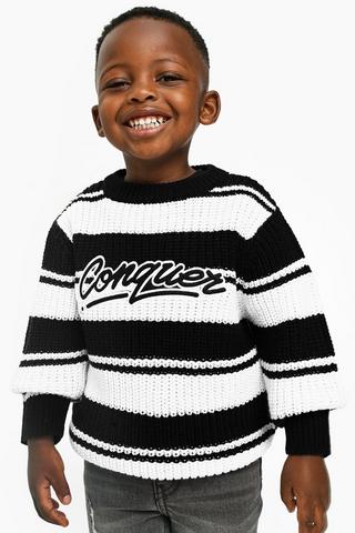 Stripe Crew Neck Knit