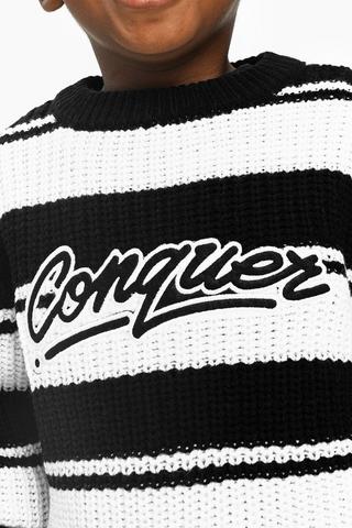 Stripe Crew Neck Knit
