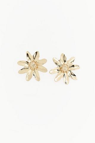 Stud Earrings