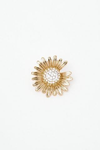 Brooch