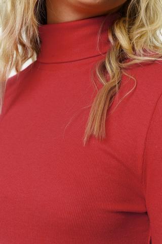 Long Sleeve Turtle Neck Top