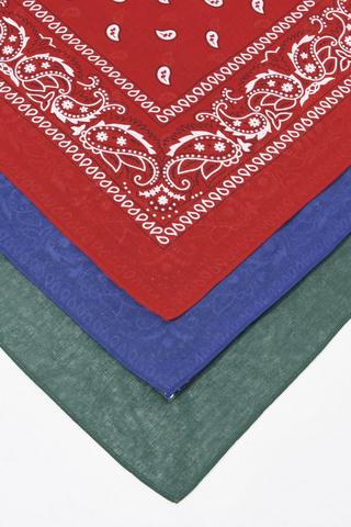 3 Pack Bandanas