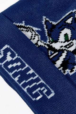Sonic The Hedgehog Beanie