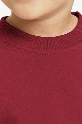 Regular Fit Long Sleeve T-Shirt