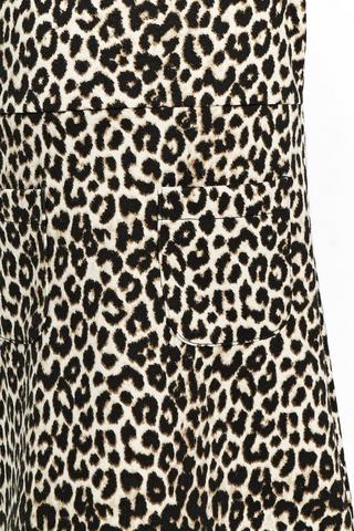 Leopard Print Dress And Top Set