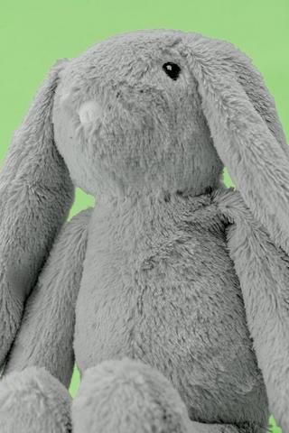 Bunny Soft Toy - Medium 
