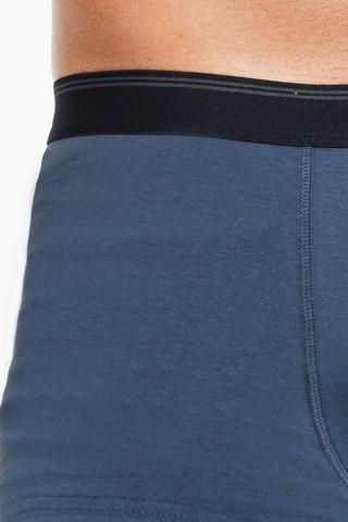 3 Pack Trunks