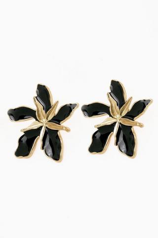 Stud Earrings