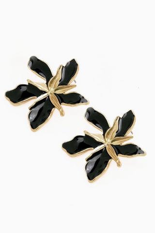 Stud Earrings