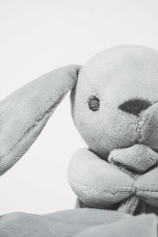 Plush Bunny And Blanket