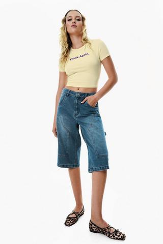 Carpenter Denim Jorts