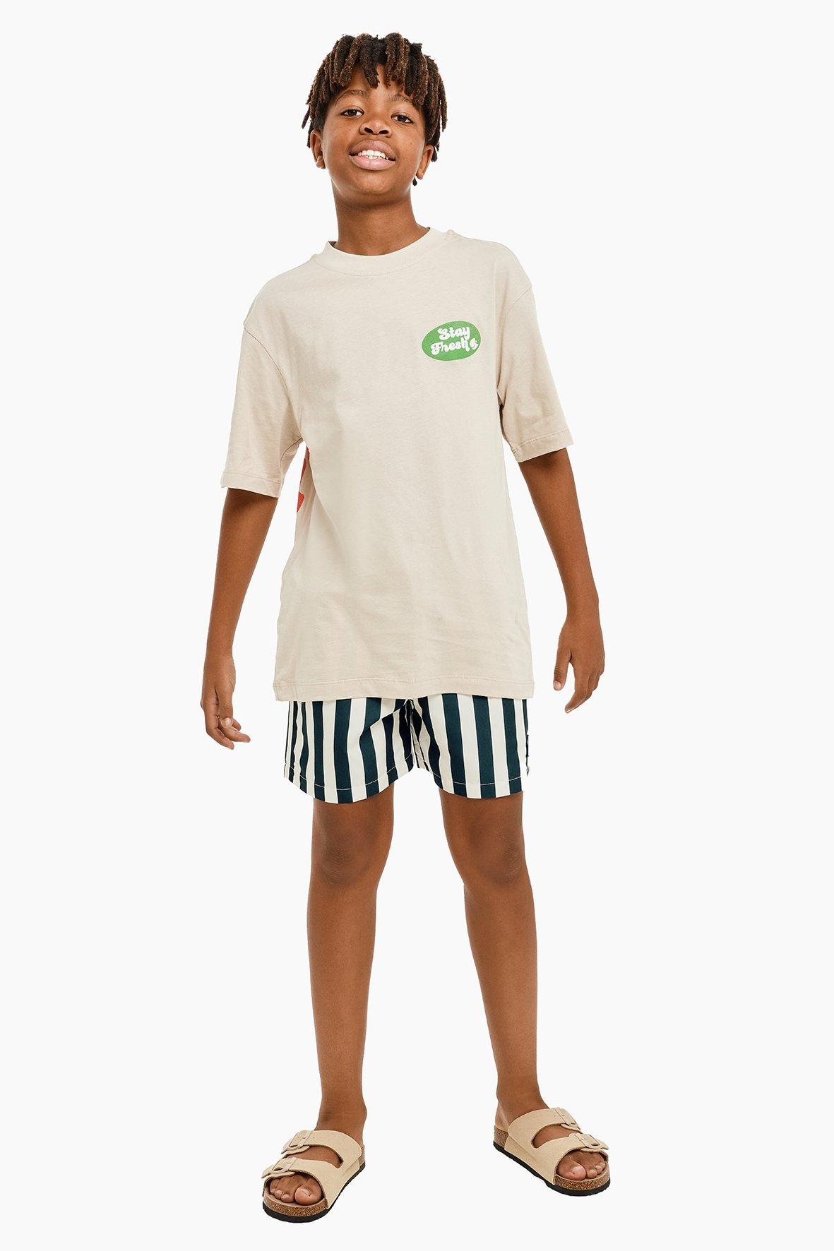 Mens Stripe Swim Short