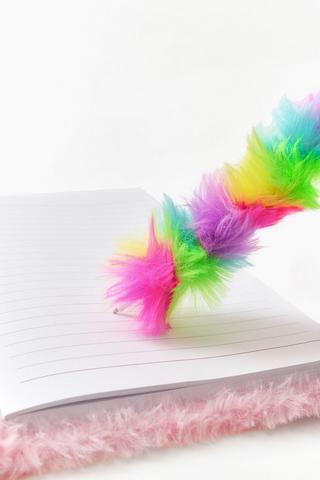 Rainbow Fluffy Pen
