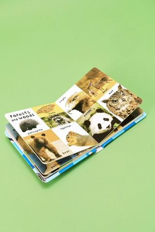 First 100 Animal Book
