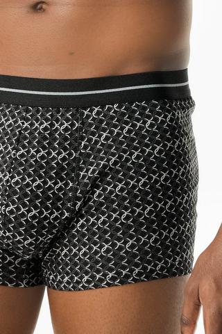 3 Pack Trunks