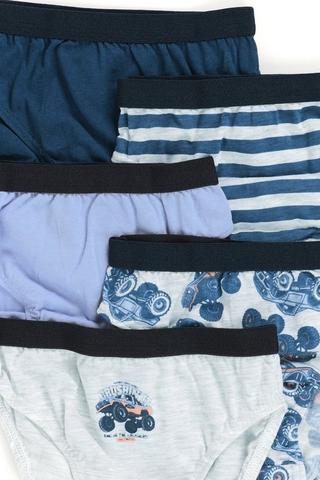 5 Pack Briefs