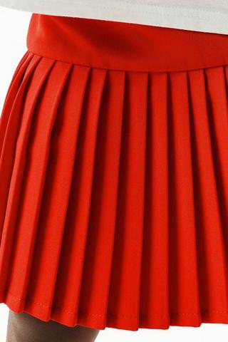 Pleated Skirt