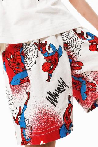 Spiderman Sleep Set