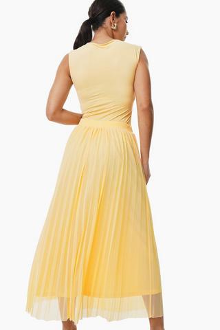 Pleated Skirt