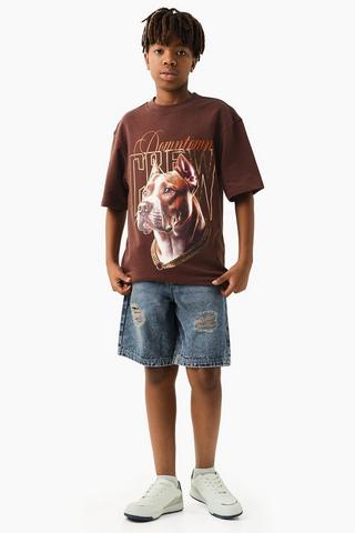 Denim Bermuda Shorts