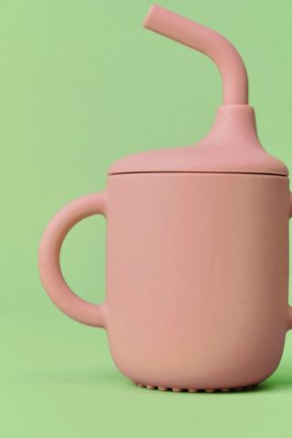 Sippy Cup