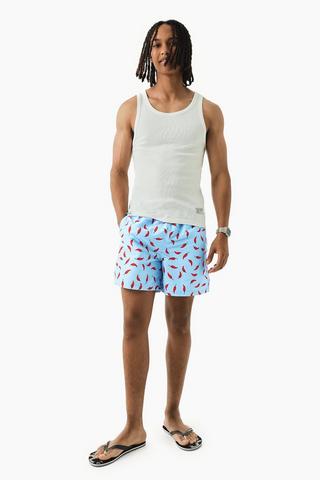 Swim Shorts