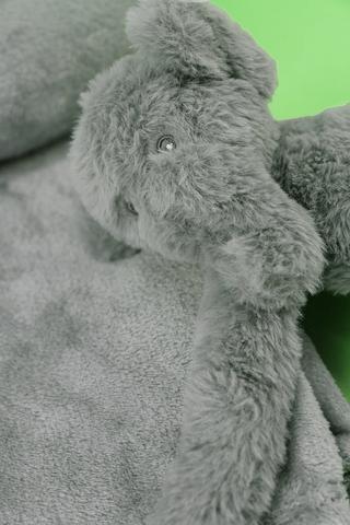 Plush Bunny And Blanket