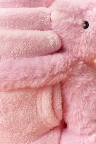 Push Bunny And Blanket