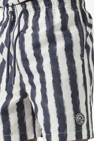 Stripe Swim Shorts