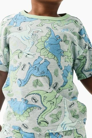 Dino Sleep Set