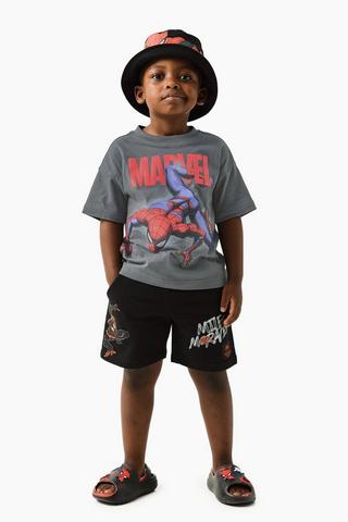 Spiderman Shorts