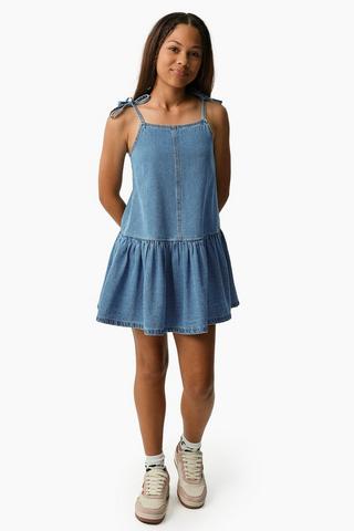 Denim Dropwaist Dress