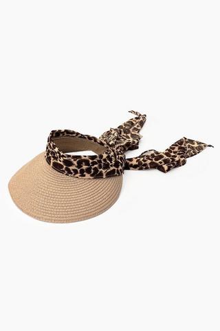 Sun Visor