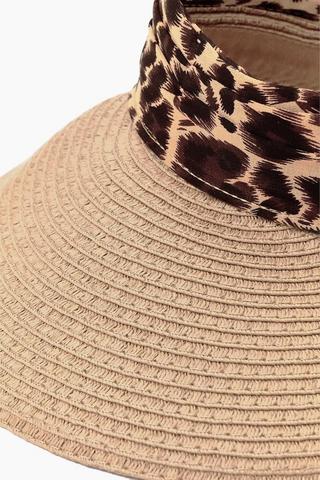 Sun Visor