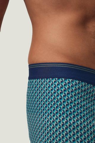 3 Pack Trunks