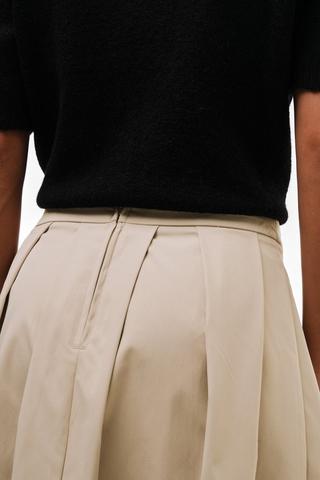 Pleated Skirt
