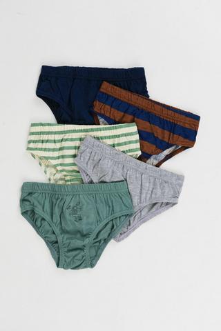 5 Pack Briefs
