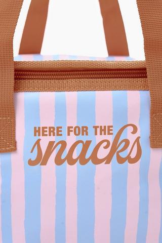 Stripe Lunch Cooler