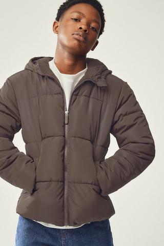 Hooded Puffer