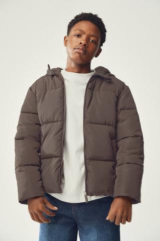 Hooded Puffer